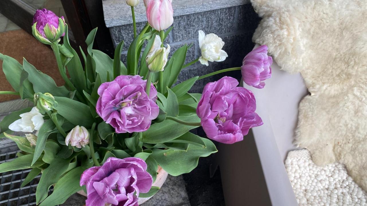Apartment Mama Kaethe - *